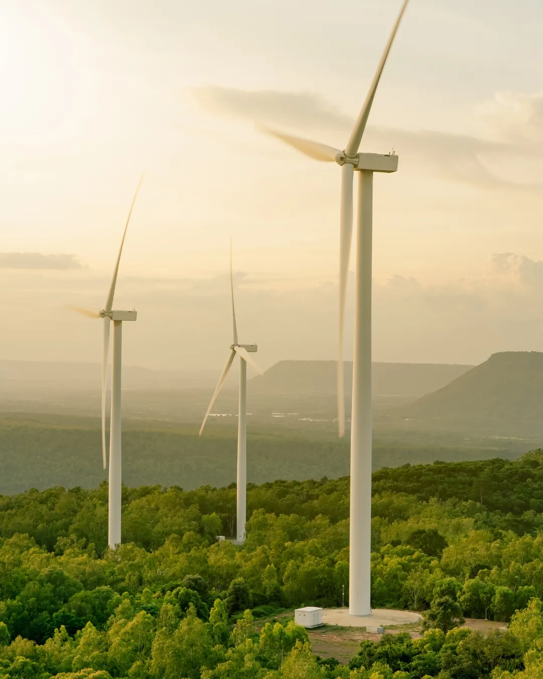 Wind turbines rising out of forested hills at golden hour